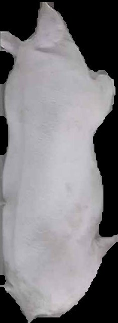Crop