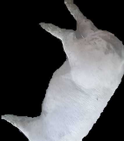 Crop
