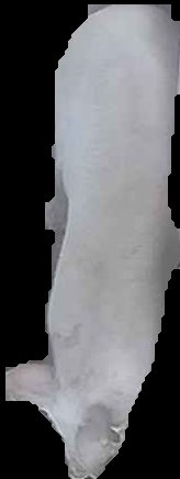 Crop