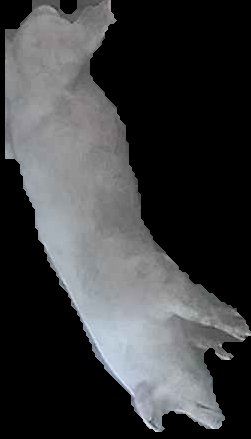 Crop