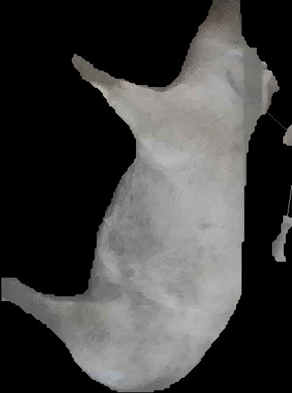 Crop