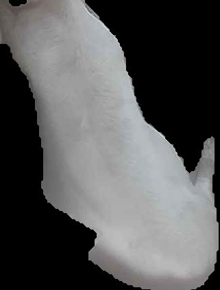 Crop