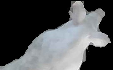 Crop