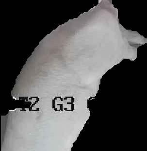 Crop