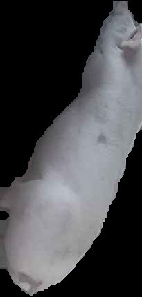 Crop