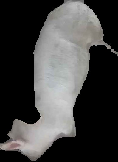 Crop