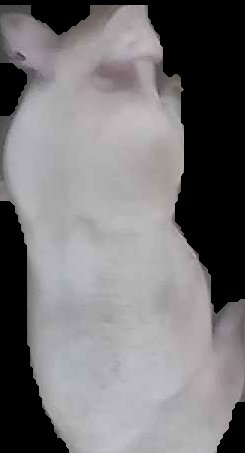Crop