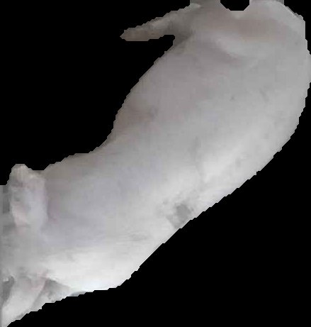 Crop
