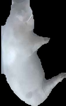 Crop