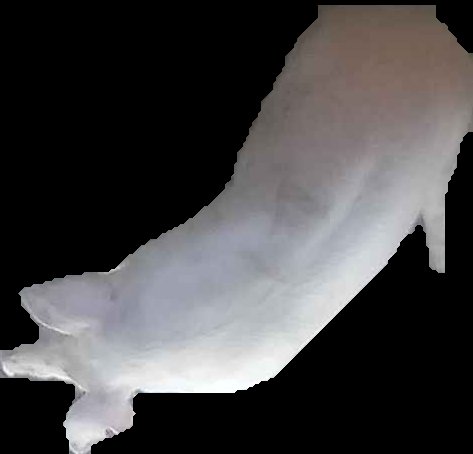 Crop