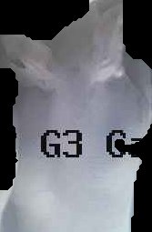 Crop