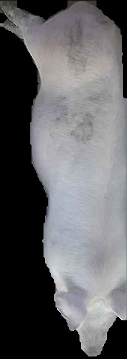 Crop