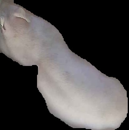 Crop