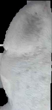 Crop