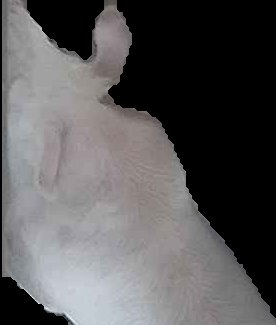 Crop