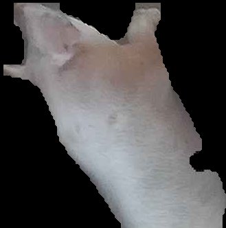 Crop