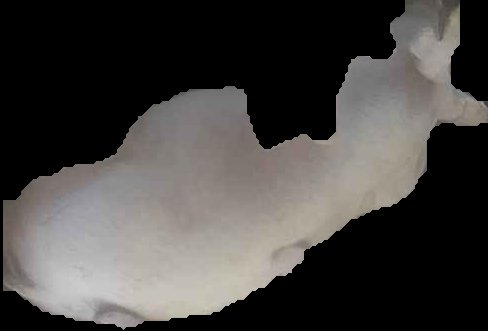 Crop