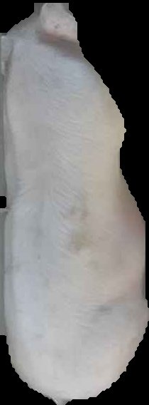 Crop