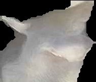 Crop