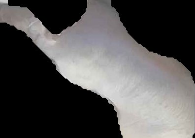 Crop