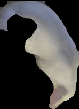Crop