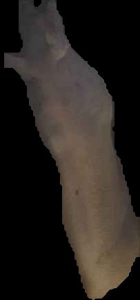 Crop