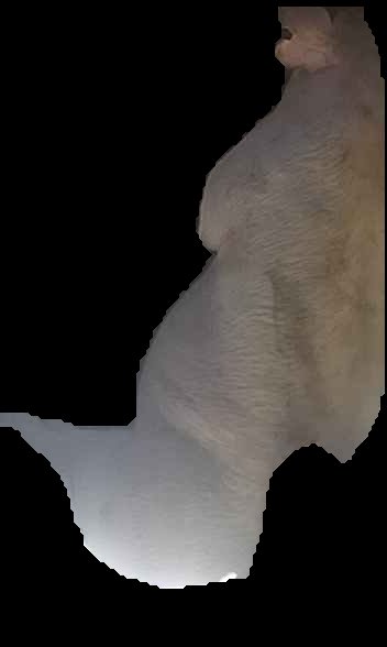 Crop