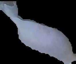 Crop