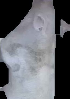 Crop