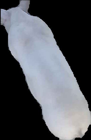 Crop