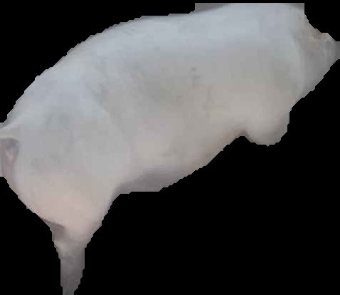 Crop
