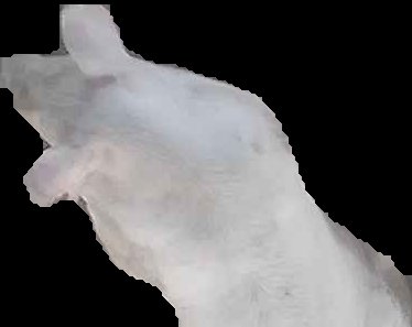 Crop