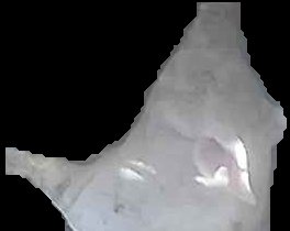 Crop