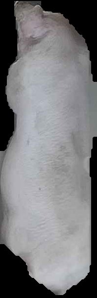 Crop