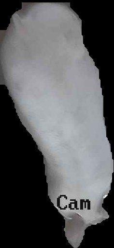 Crop
