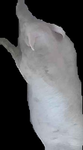 Crop