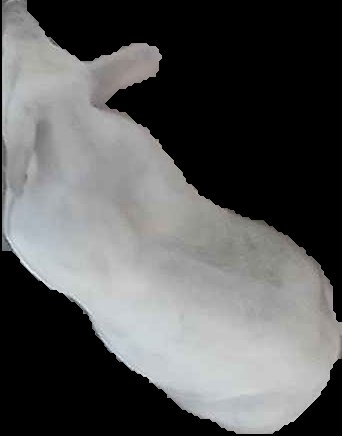 Crop