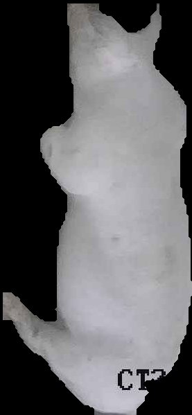 Crop