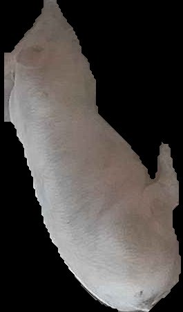 Crop