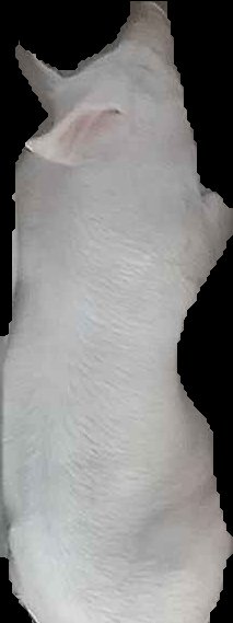 Crop