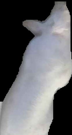 Crop