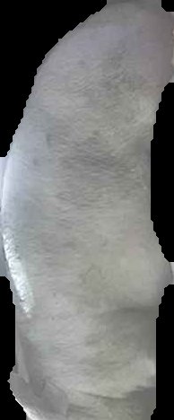 Crop