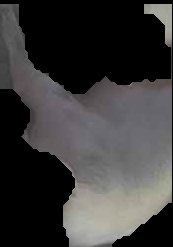 Crop