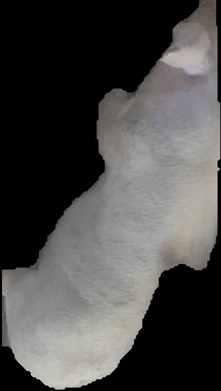 Crop