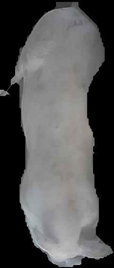 Crop