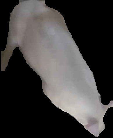 Crop