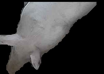 Crop