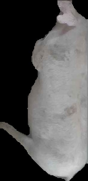 Crop