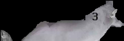 Crop