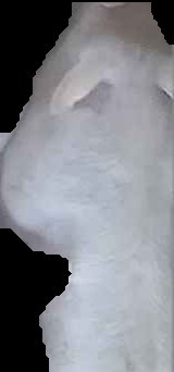 Crop